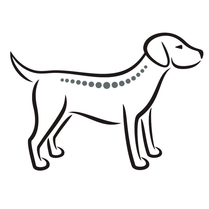 Koiran jäsenkorjaus